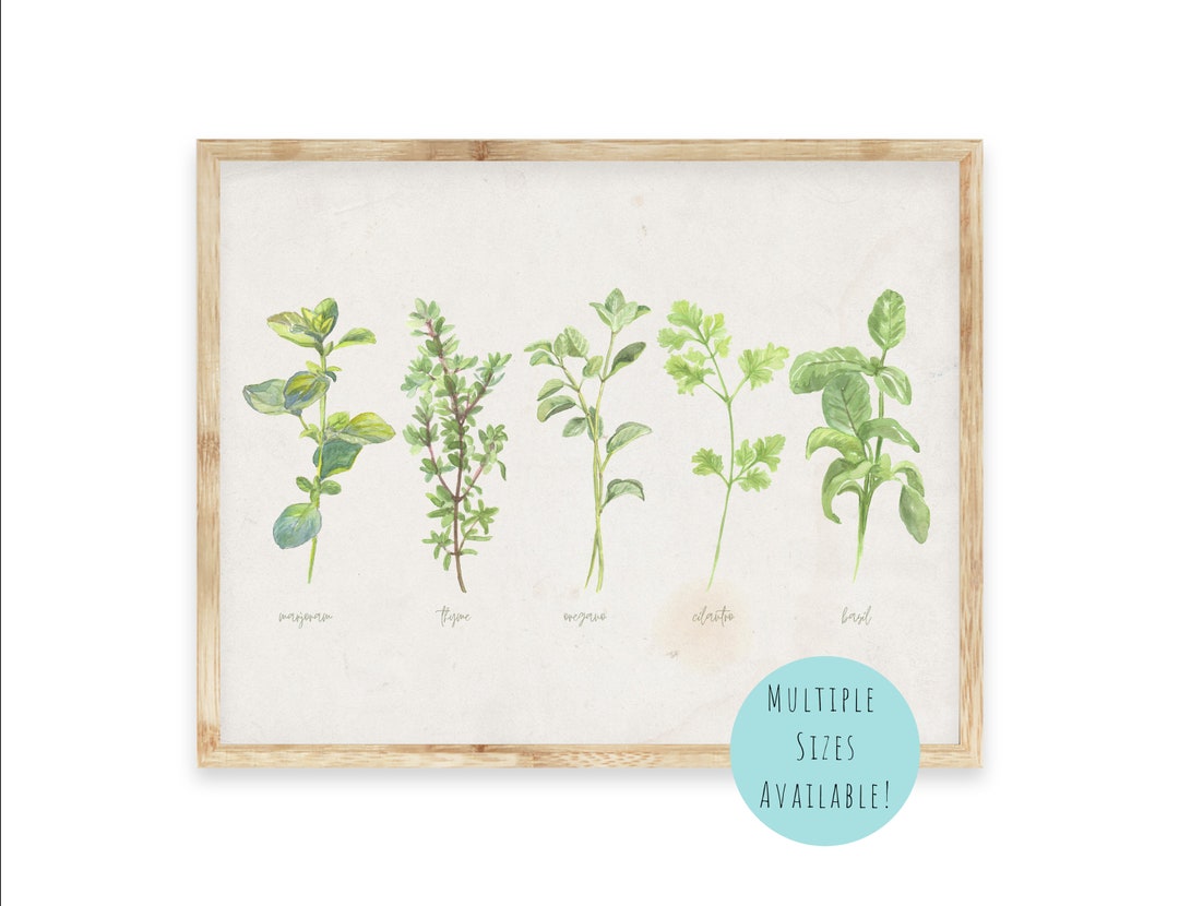 Watercolor Botanical Kitchen Herbs Printable Wall Art Herb - Etsy