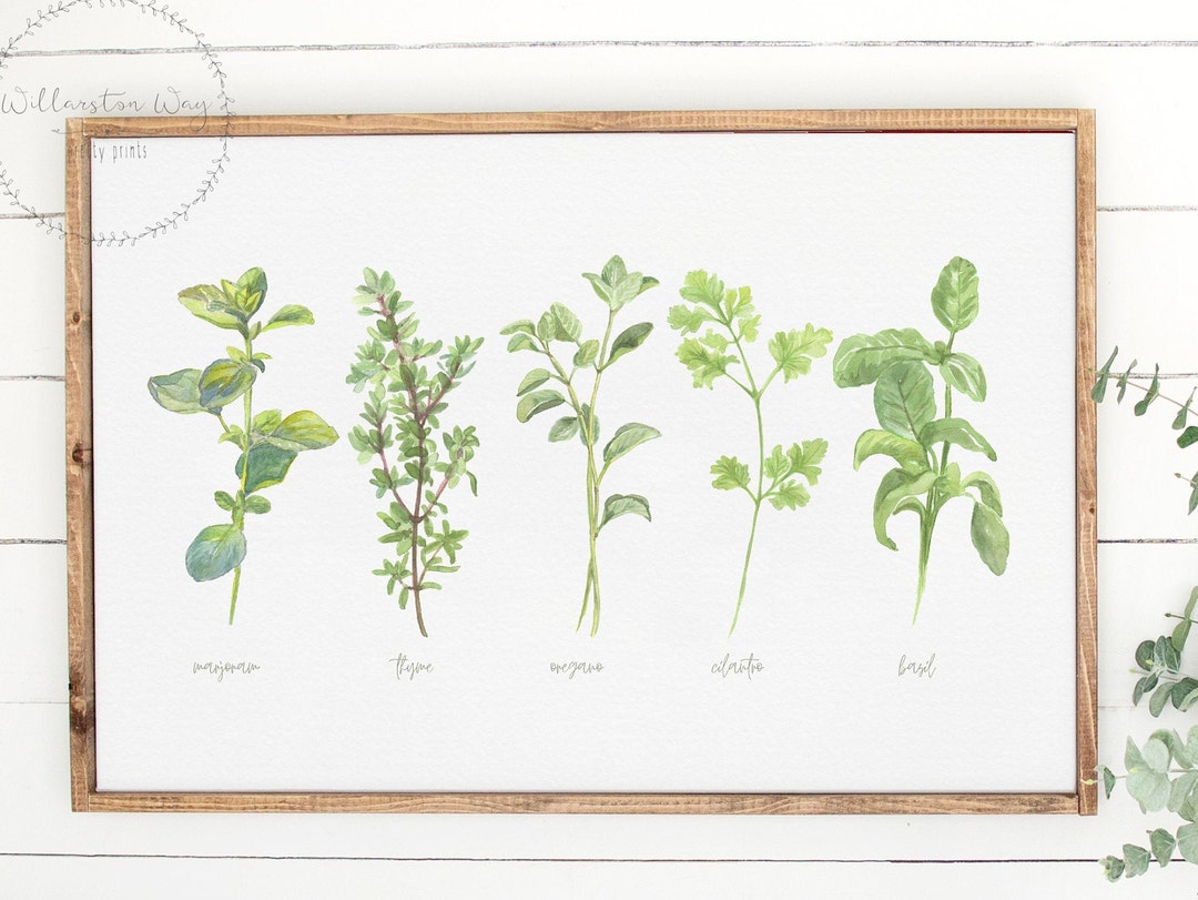 Watercolor Botanical Kitchen Herbs Printable Wall Art | Herb Print Set ...