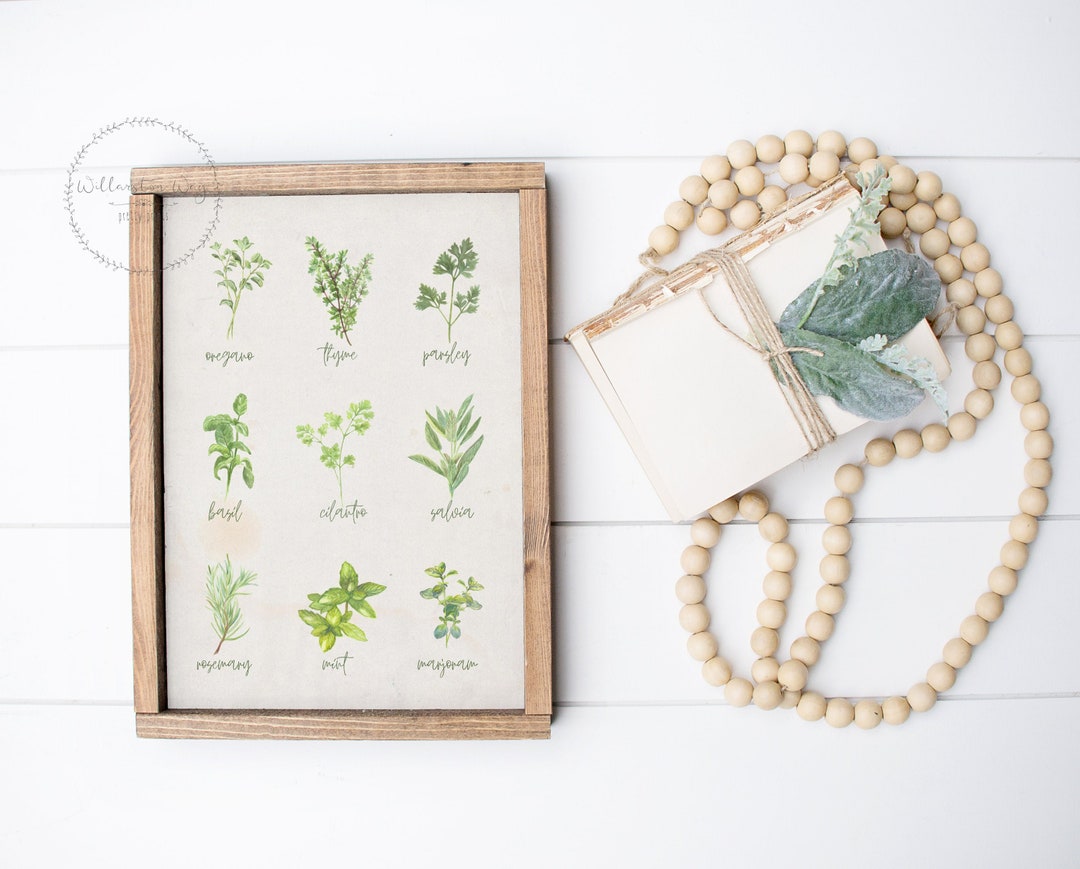 Vintage Botanical Herbs Kitchen Spices Art Print | Watercolor Herb Set ...