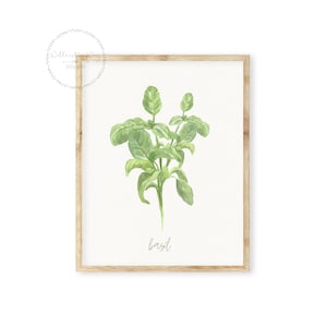 Watercolor Botanical Kitchen Spices Printable Wall Art |  Herb Print Set | Vintage Farmhouse Spice Plant Leaf Wall Decor | Set of 4