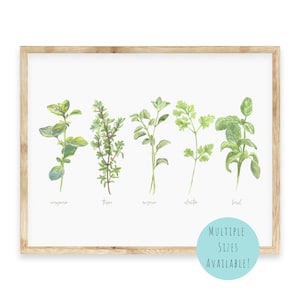 Watercolor Botanical Kitchen Herbs Printable Wall Art |  Herb Print Set | Vintage Farmhouse Spice Plant Leaf Wall Decor