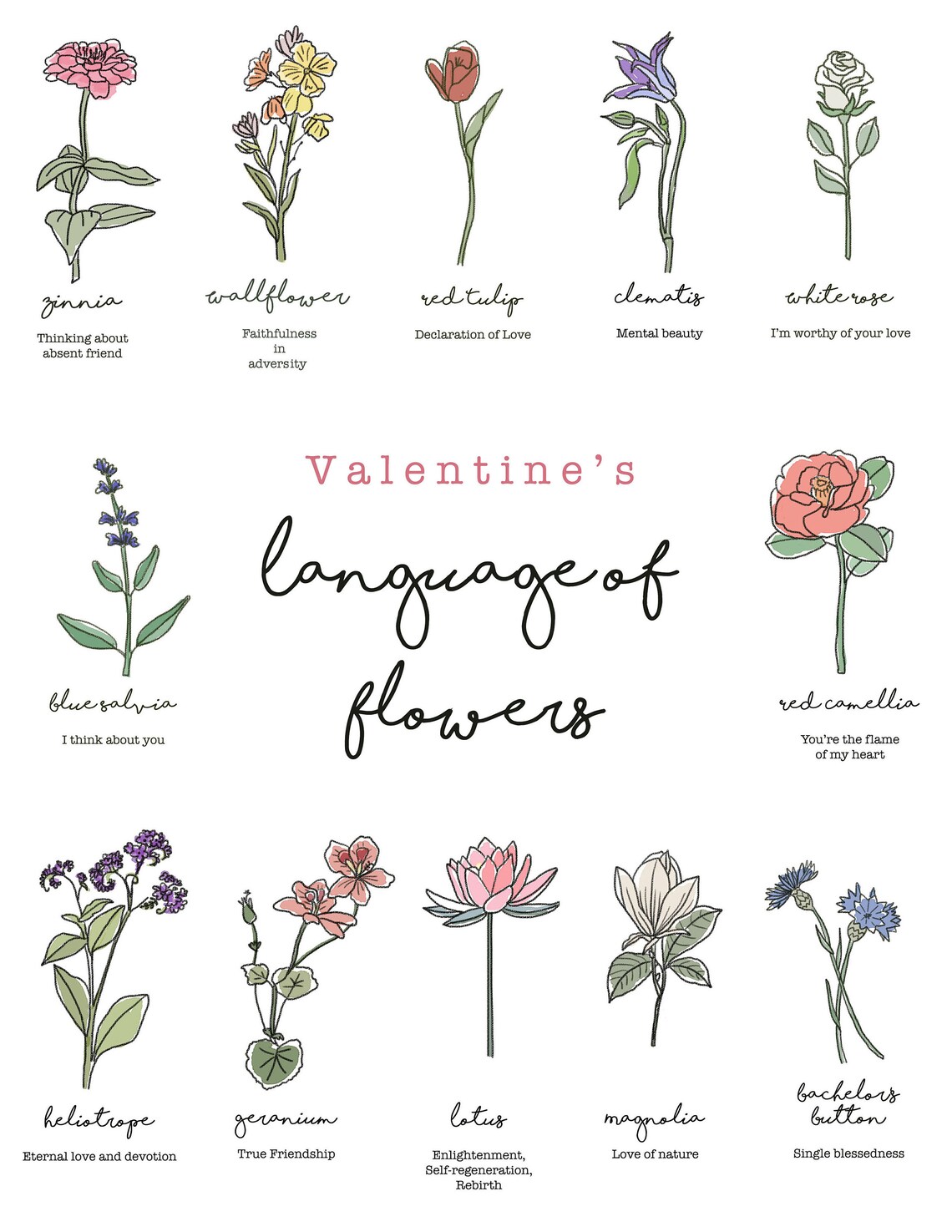 Language of Flowers / Floriography / Valentine's Day Gift Etsy