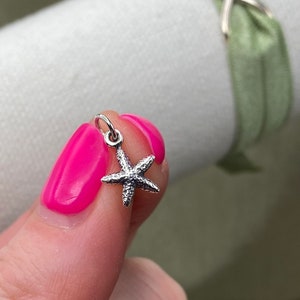 May include: A silver starfish charm with a textured surface.