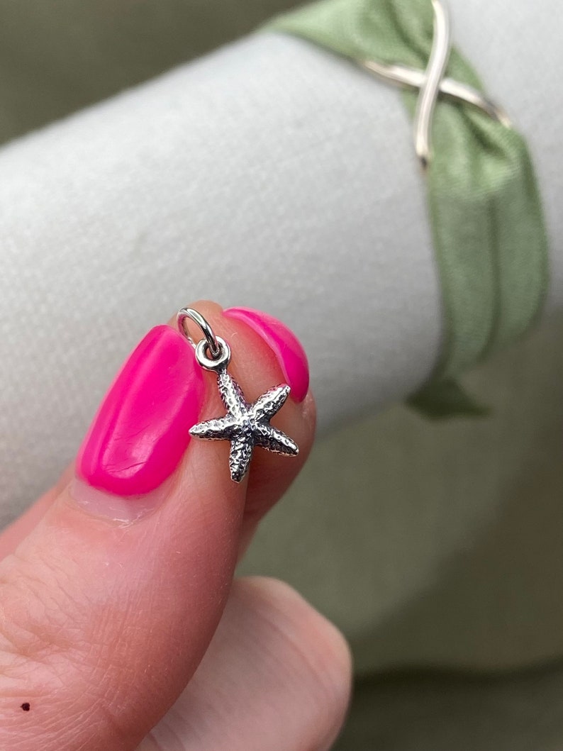 May include: A silver starfish charm with a textured surface.