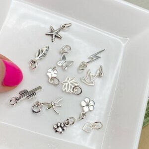 May include: A collection of silver charm pendants in various shapes, including a starfish, leaf, butterfly, lightning bolt, bird, flower, cactus, dragonfly, paw print, and heart.
