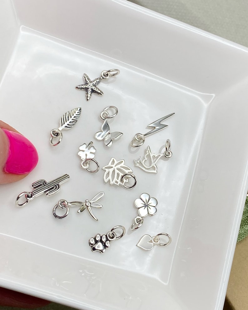 May include: A collection of silver charm pendants in various shapes, including a starfish, leaf, butterfly, lightning bolt, bird, flower, cactus, dragonfly, paw print, and heart.