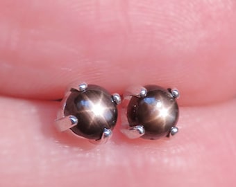 Black Star Sapphire Earrings Natural Black Star Sapphire Studs