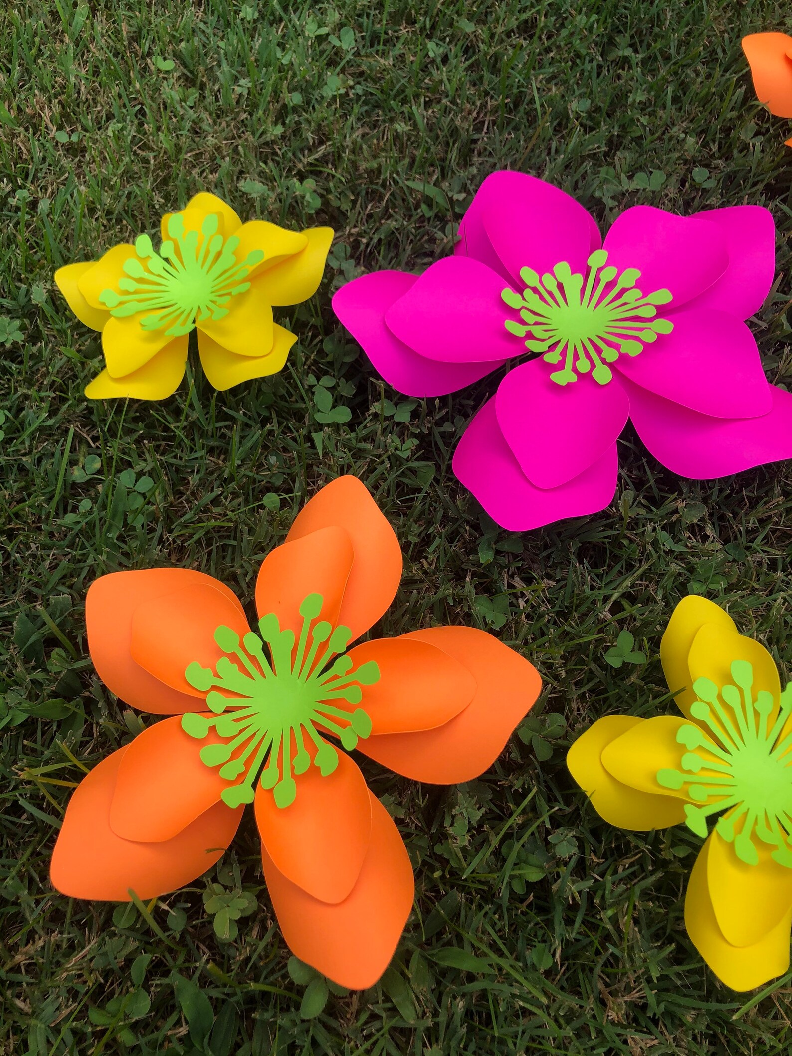 Any Color Paper Flower Set Wall Flowers Tropical Paper Etsy
