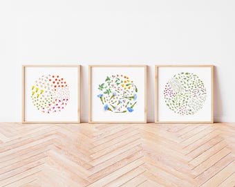 Set of 3 Abstract Botanical Print Floral Wall Art Minimalist Nature Photography Prints