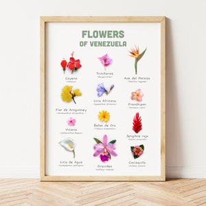 Venezuela Wandkunst Blumendrucke, Venezuela Poster, Botanische Wandkunst, Geschenk für Venezulaner Freund, Venezuela Wohndekor