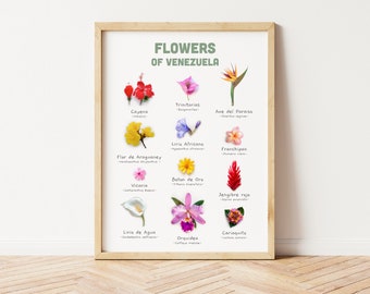 Arte mural de Venezuela con flores, póster de Venezuela, arte botánico, regalo para un amigo venezolano, decoración del hogar de Venezuela.