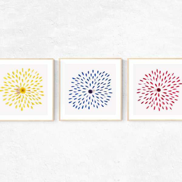 3 piece wall art, Set of three botanical print, minimalist art print set 3, Venezuela art, botanical print set