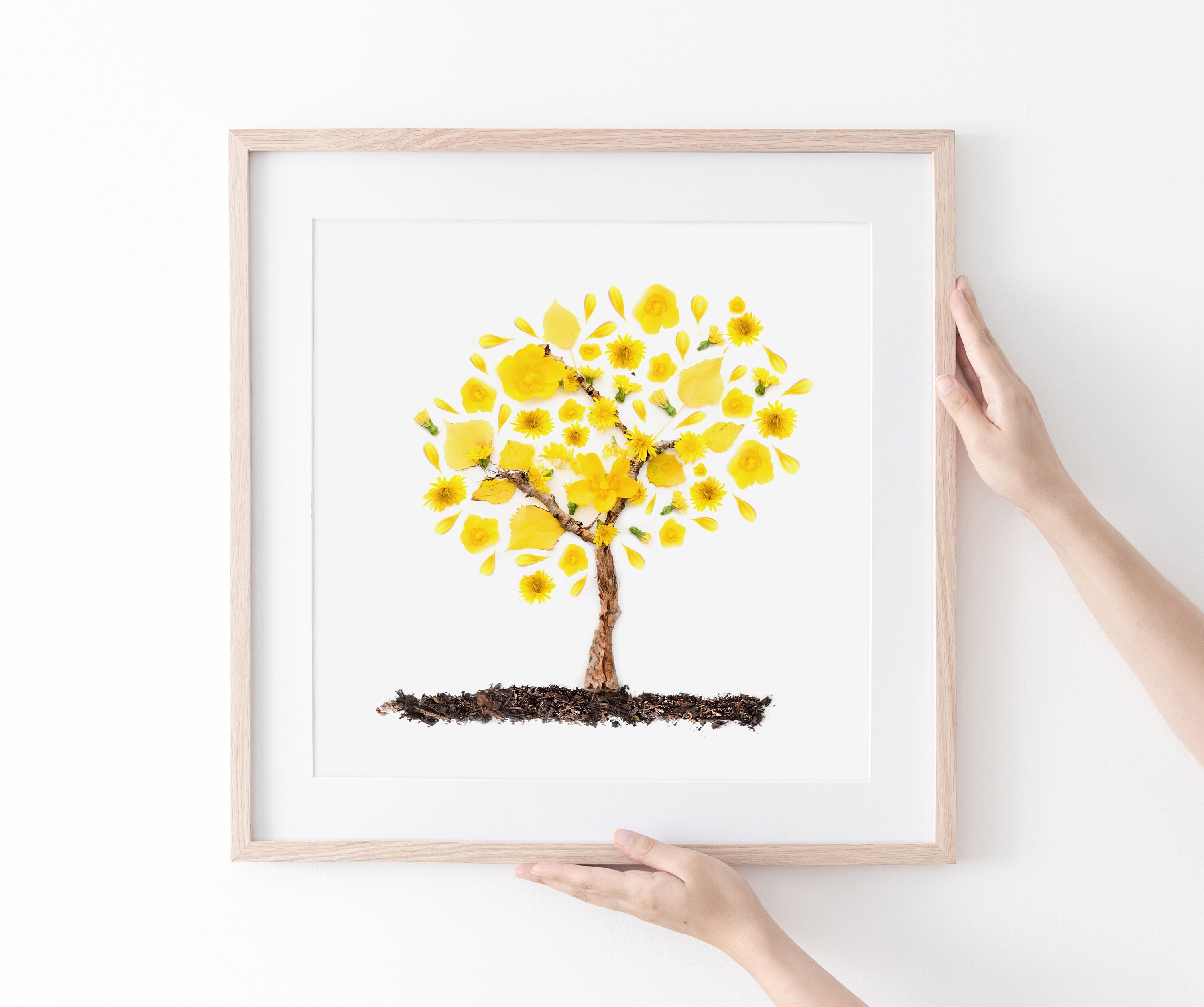 Venezuela art Araguaney tree print, yellow wall art, Acacias yellow leaves tree, Venezuela Gift Venezuela Print