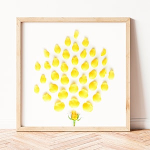 Kunst aan de gele muur, badkamer decor, gele badkamer decor, badkamer prenten, kunst aan de muur badkamer, gast badkamer decor