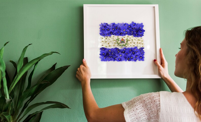 May include: A white picture frame with a white mat and a blue and white flower arrangement inside. The flower arrangement is in the shape of the flag of El Salvador. A person is hanging the picture frame on a green wall.