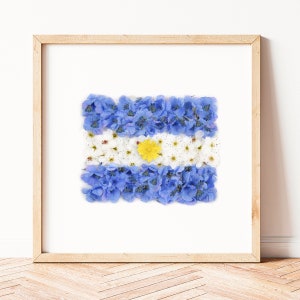 Argentina wall art, Argentina Flag print, Buenos Aires, Argentina gift, Flag of Argentina poster