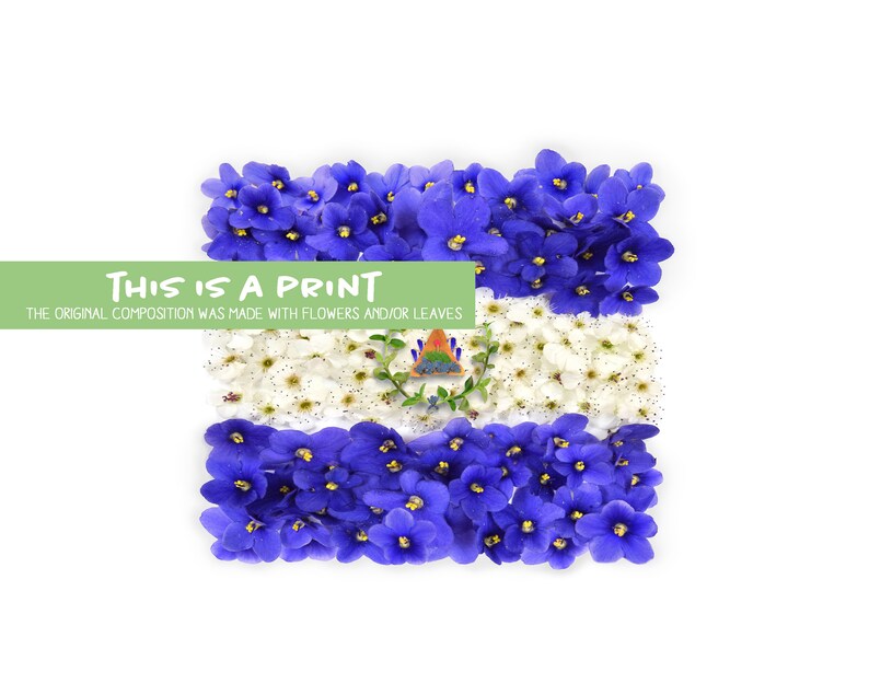 May include: A print of the flag of El Salvador made with blue and white flowers. The text "This is a print. The original composition was made with flowers and/or leaves." is at the top of the image.