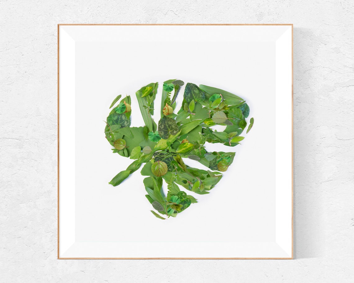 Monstera Wall Art Monstera Print Botanical Wall Art Etsy