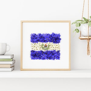 May include: A framed print of the flag of El Salvador, made with blue and white flowers. The flag is displayed on a white shelf with a white mug and books.