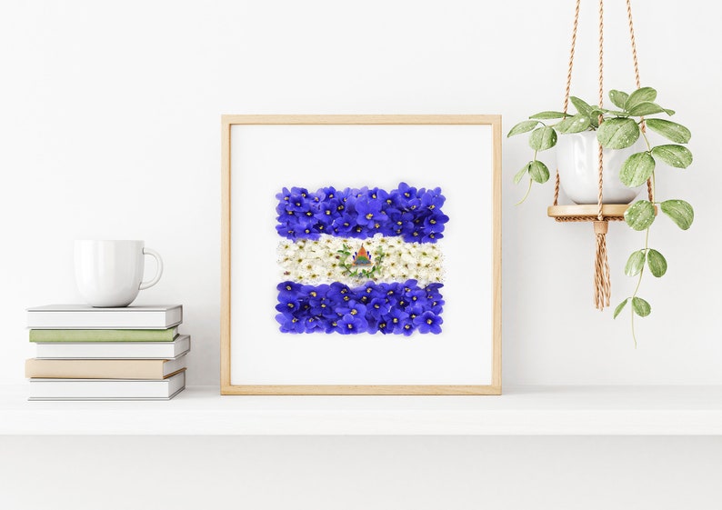 May include: A framed print of the flag of El Salvador, made with blue and white flowers. The flag is displayed on a white shelf with a white mug and books.