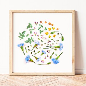 Wandbild, Moderner botanischer Druck, Wildblumen Druck, abstrakter Druck, Botanischer Druck, Blumen Kunstdrucke
