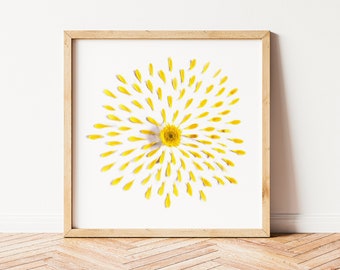 Yellow Daisy Print, Modern Floral Wall Art