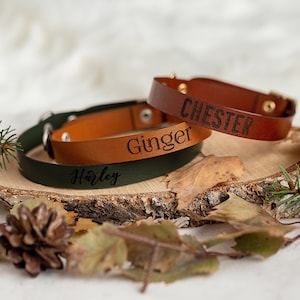 Engraved cat collar | cat collar personalized with name | vegan leather cat collar with name | leather collar for cats | custom cat collar