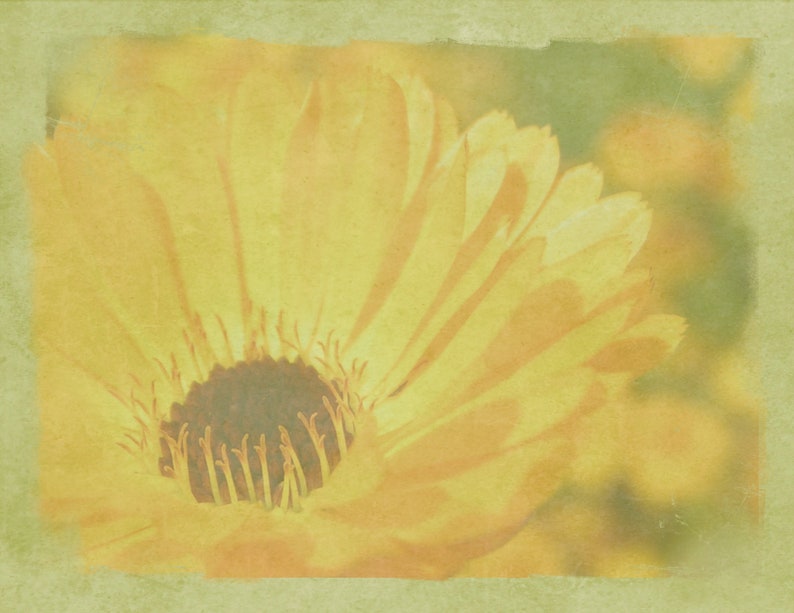 journal pages scrapbooking pages florals Yummy Yellow PRINTED junk journal kit