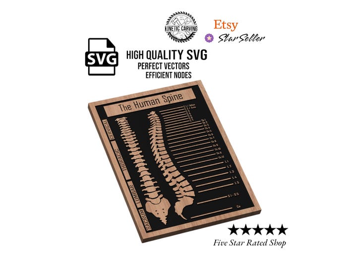 Human Spine Medical Chart SVG File for Woodworking, CNC, Printing and Lasering