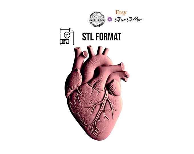 Human Heart 3D Model STL File: Anatomical CNC Carving (Digital Download)