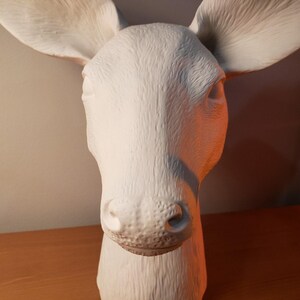 Anthropologie Anthropomorphic Cholet Dual Ceramic Flower Vase image 4