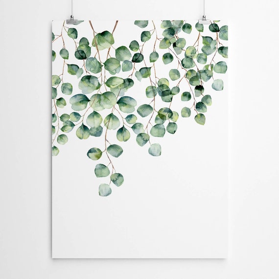 Silver Dollar Eucalyptus Watercolor Print Modern Decor Botanical Nature Art Scandinavian Nordic Design Minimalist Green Leaf Leaves Artwork
