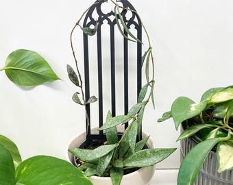 Gothic plant trellis, Plant support, Plant lover gift, Plant stake, Houseplant trellis, Gothic decor, Plant stand, Indoor plant vine trellis