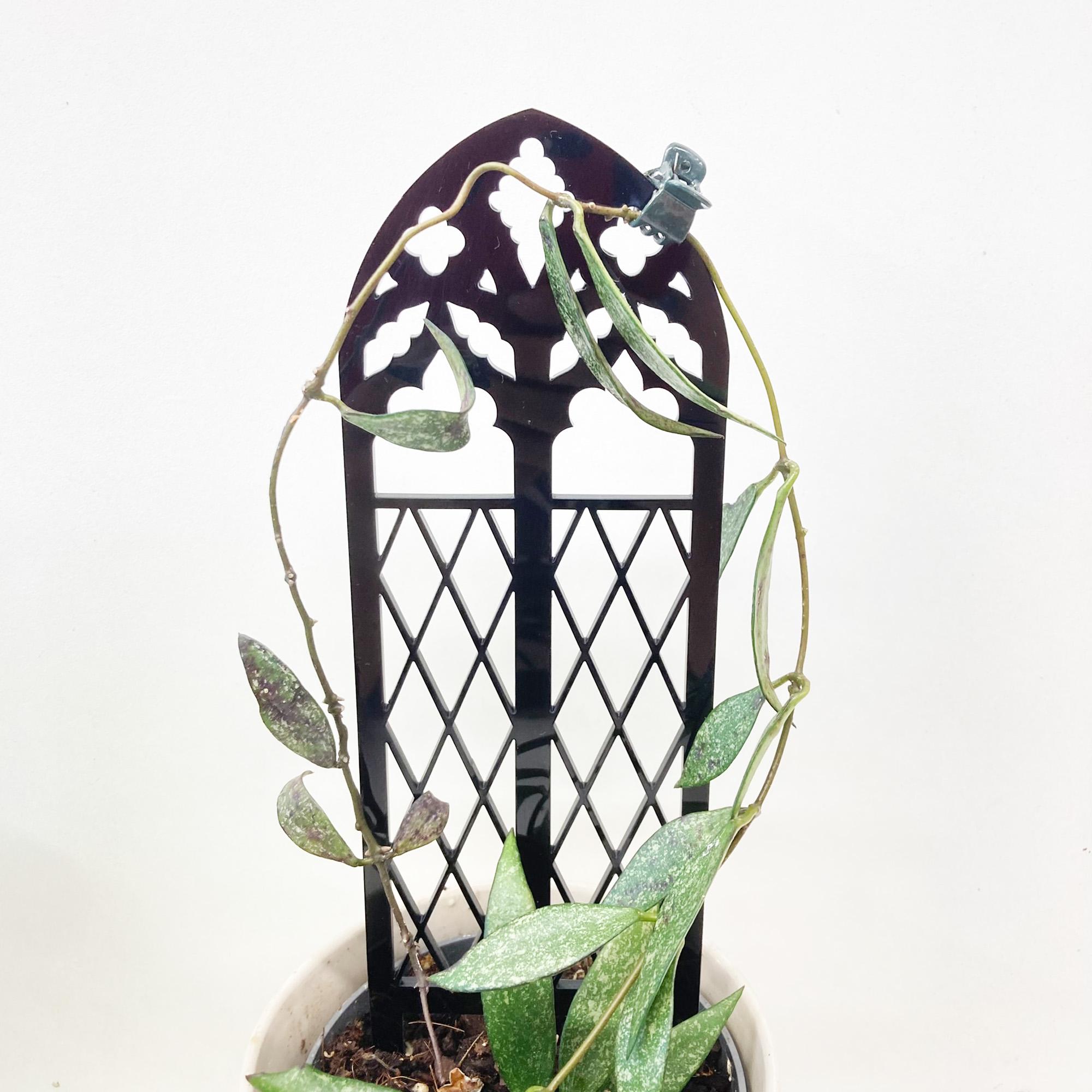 Gothic plant trellis, Plant support, Plant lover gift, Plant stake, Houseplant trellis, Gothic decor, Plant stand, Indoor plant vine trellis