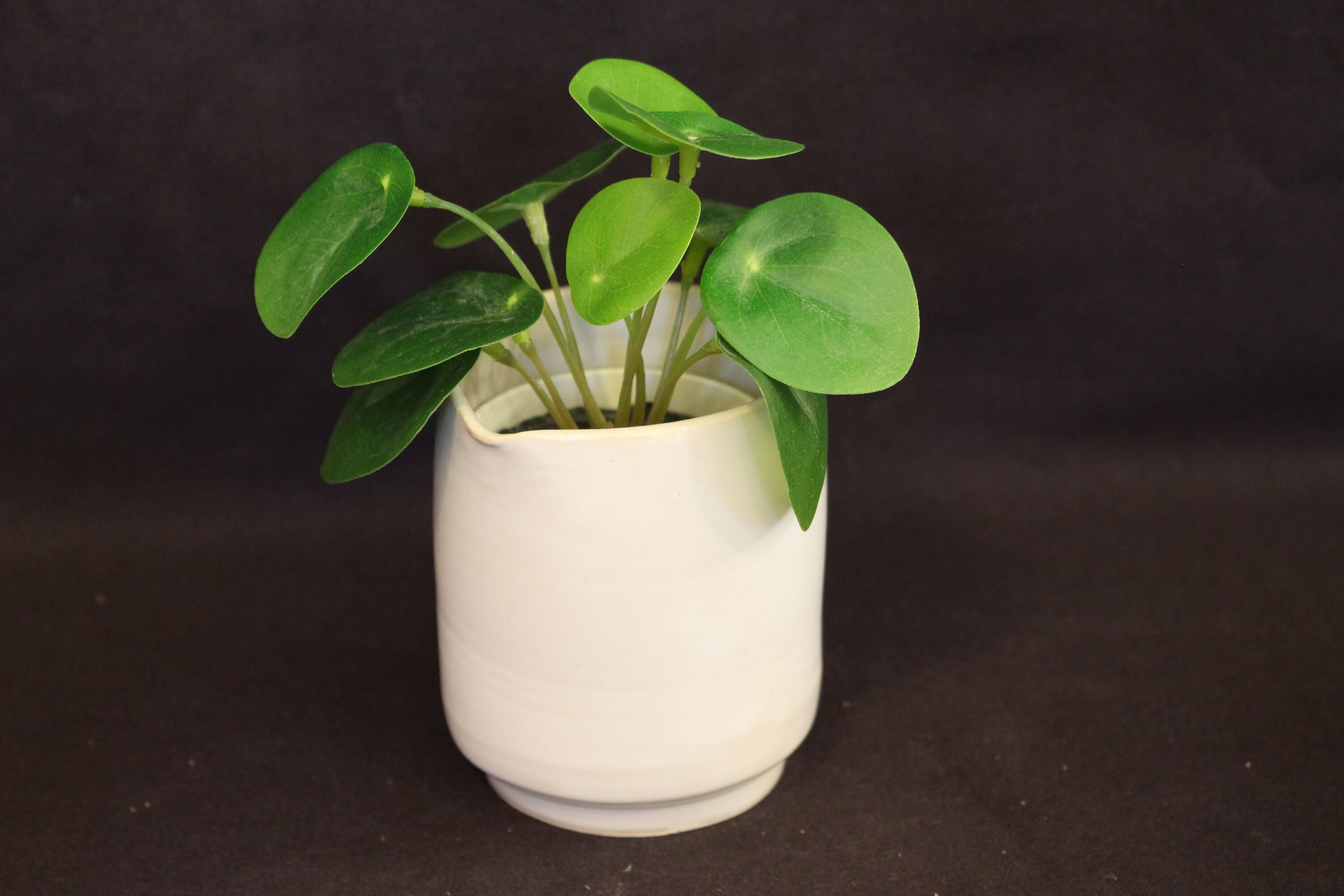 Cache-Pot Pour Petite Plante en Grès Blanc, Forme Pichet