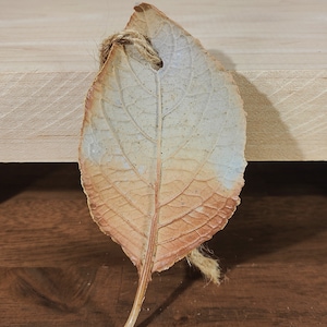 May include: A ceramic leaf-shaped ornament with a natural, earthy aesthetic. The leaf transitions from a light, off-white color to a warm, reddish-brown hue. A jute twine loop is attached for hanging. The leaf's veins are clearly visible.