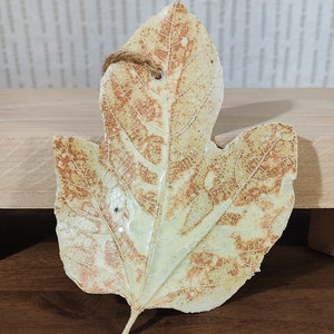 Puede incluir: Un adorno de hoja de cerámica con un esmalte marrón claro y blanco. La hoja tiene un patrón de nervaduras detallado y un agujero en la parte superior para colgar.