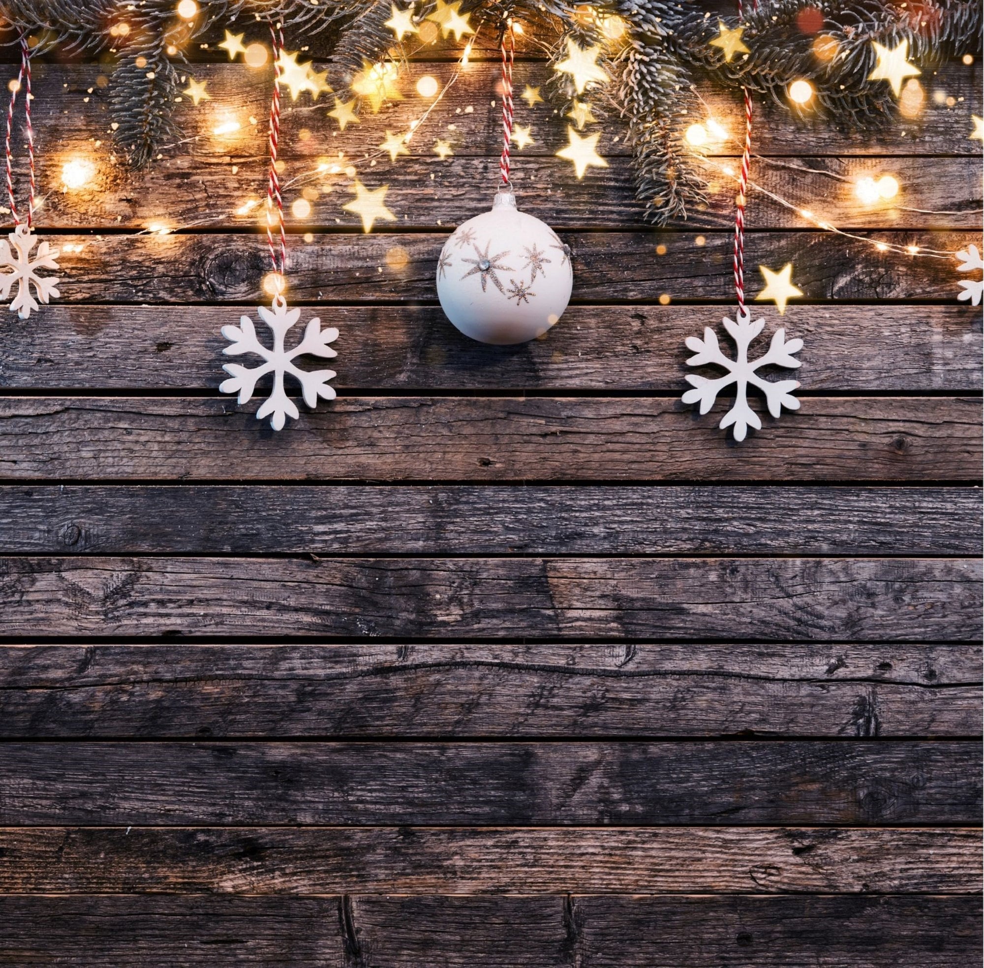 Winter Photography Backdrop Christmas Background Portrait - Etsy