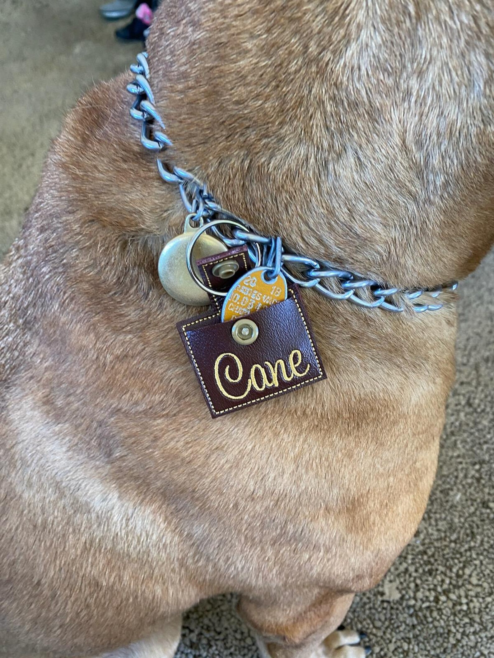 Embroidered Personalized Pet Dog Tag Silencer Pouch Pet Tag Etsy