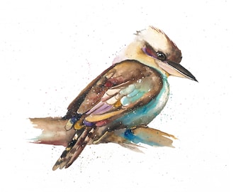 Kookaburra Quiet Time