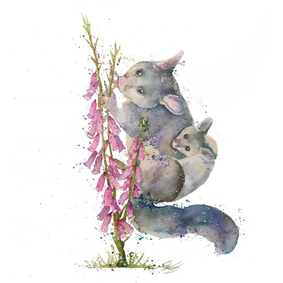 Print Gift Watercolour Card Wren,Blossom,Sale,Original Wildlife,Animal,Art,