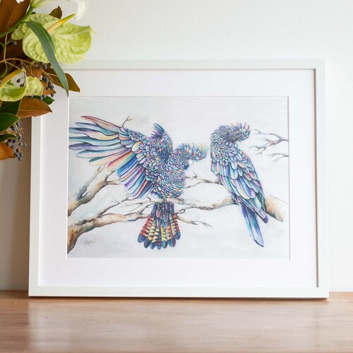 Australian Birds Black Cockatoo and Banksia Giclee Art Print Etsy