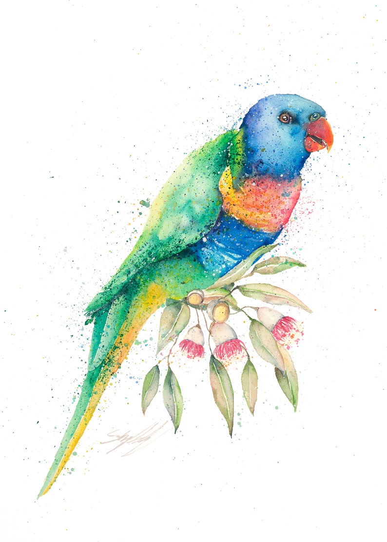 Rainbow Lorikeet Watercolour Painting Print By Stephanie Etsy