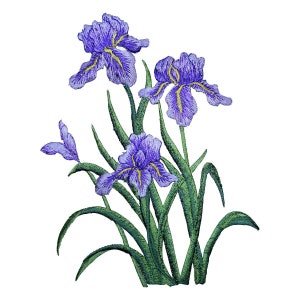 Extra Large Iris Applique Patch - Flower, Purple Bloom, Gardening 6" (Iron on)