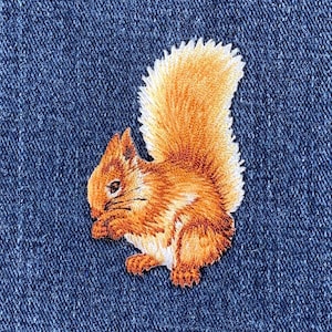 Squirrel Applique Patch - Embroidered Animal Eating Acorn Badge 2.25&quot; (Iron on)