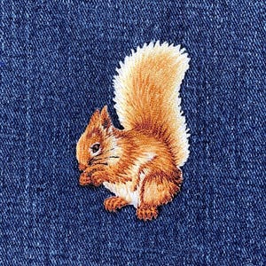 Squirrel Eating Nuts Applique Patch - Embroidered Animal Badge 2.25" (Iron On)