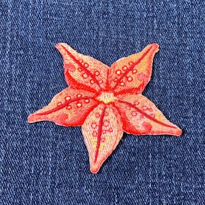 Starfish Applique Patch - Sealife Sea Creature Tide Pool Embroidered Beach Badge 2.25" (Iron on)