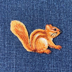 Chipmunk Applique Patch - Cute Animal Embroidered Badge 2.25&quot; (Iron on)