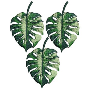3-Pack Monstera Applique Patch - Embroidered Tropical Leaf & House Plant Badge 2" (Iron On)