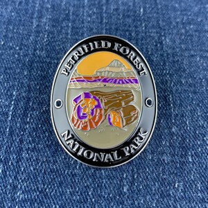 Petrified Forest National Park Walking Stick Medallion - Navajo Apache Arizona Hiking Collectors Badge